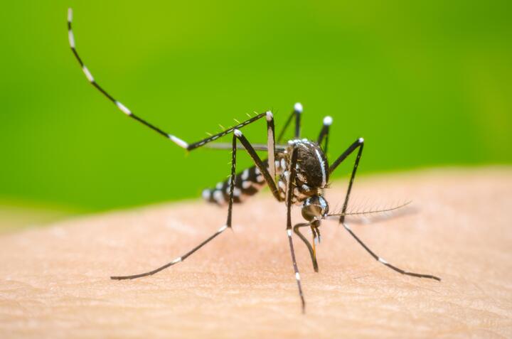 dengue prevencion 720